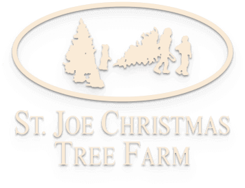 St. Joe Christmas Tree Farm